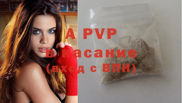 индика Курчалой