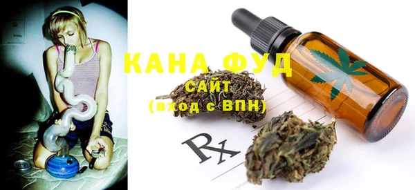 индика Курчалой