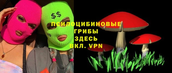 индика Куровское