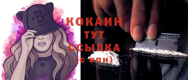 индика Куровское