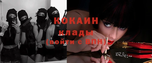индика Куровское