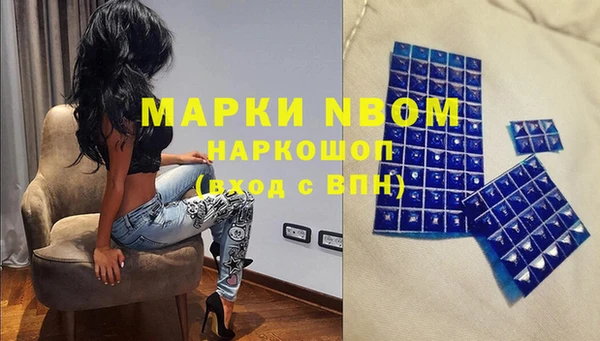 индика Курчалой