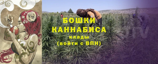 индика Куровское