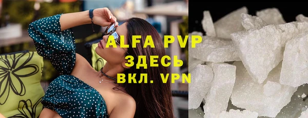 индика Курчалой