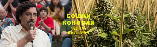 индика Куровское