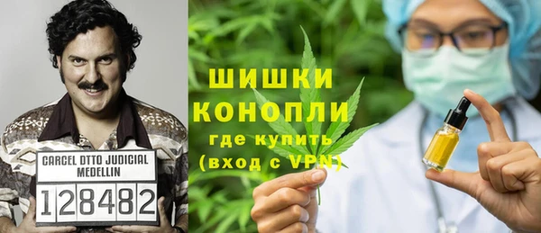 индика Кохма