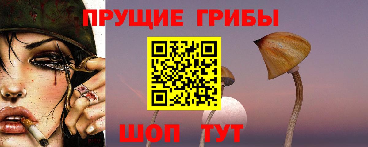 Галлюциногенные грибы мицелий Советская Гавань