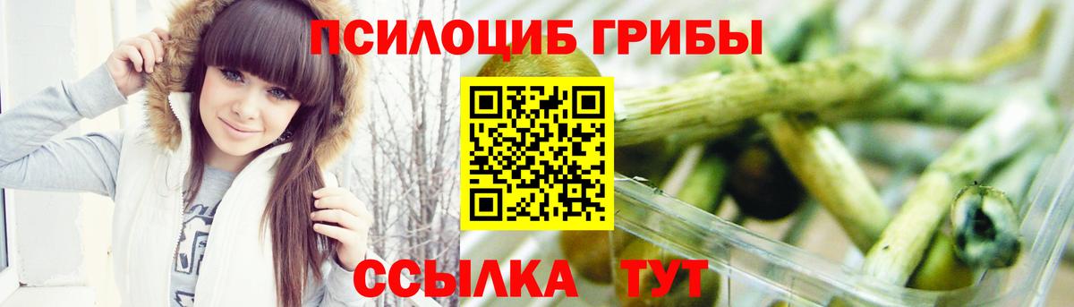 продажа наркотиков  Галлюциногенные грибы Psilocybine cubensis  Вход с VPN  Галлюциногенные грибы прущие грибы  Советская Гавань 